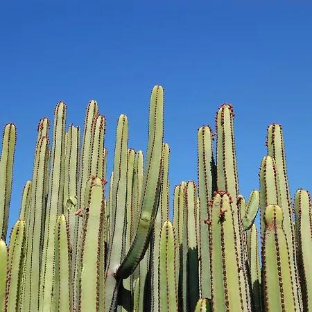 Dragos Salobre Golf 3 By Villagrancanaria Villa *