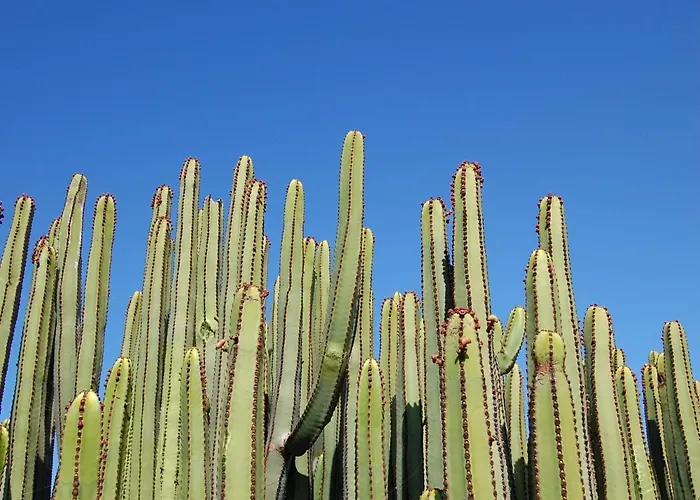 Dragos Salobre Golf 3 By Villagrancanaria Villa *